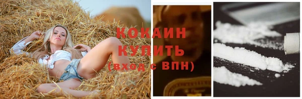 прущие крисы Новокубанск