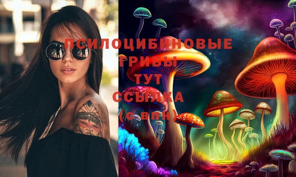 spice Новозыбков