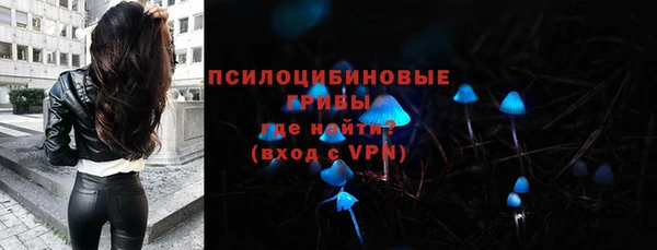 spice Новозыбков