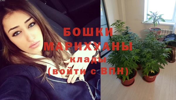 spice Новозыбков