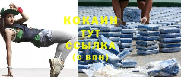 шишки Нягань